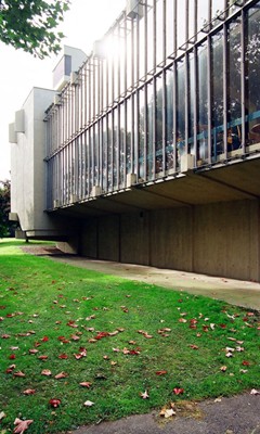 Curtain wall to gallery.